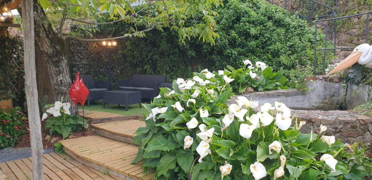 Casa Belavista Penela - Charming Guest House - Adults Only エクステリア 写真