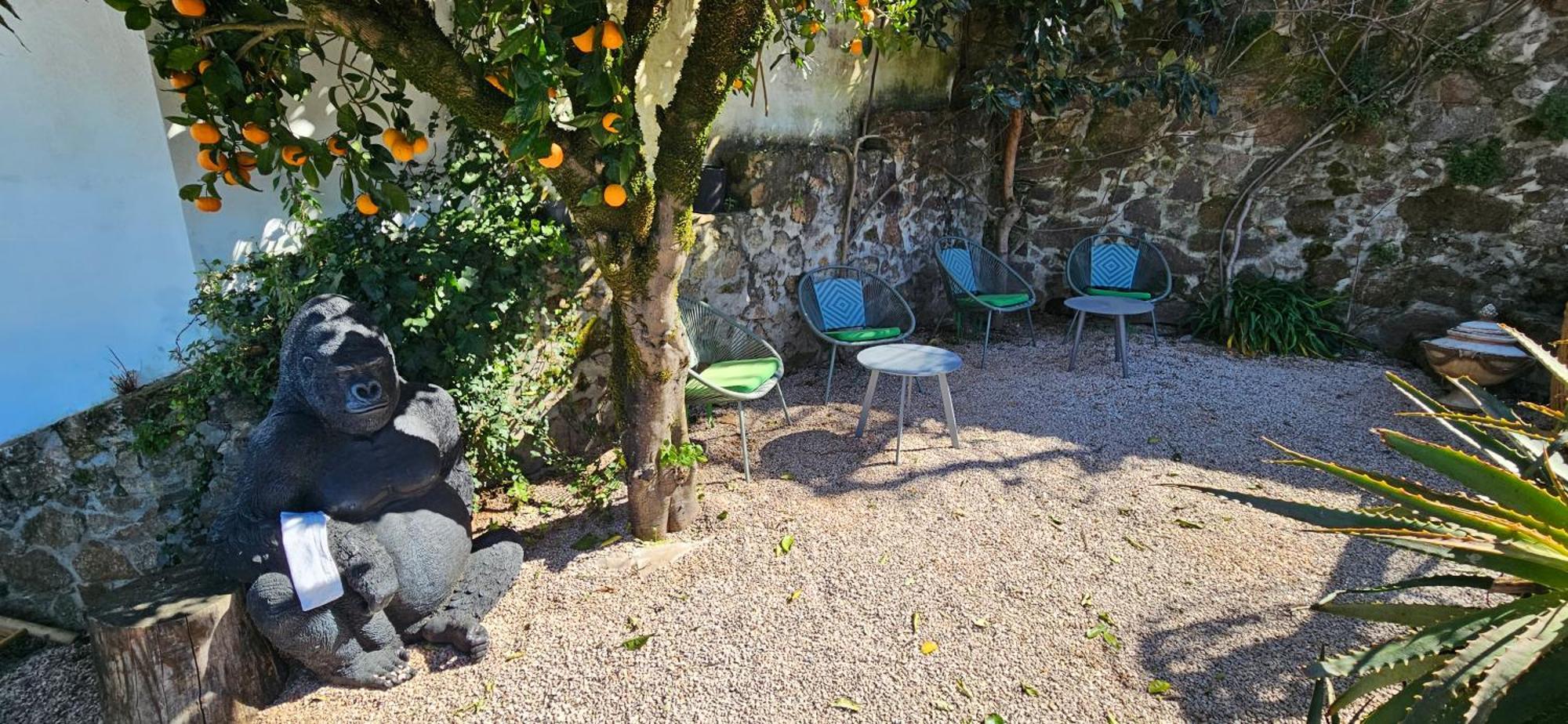 Casa Belavista Penela - Charming Guest House - Adults Only エクステリア 写真